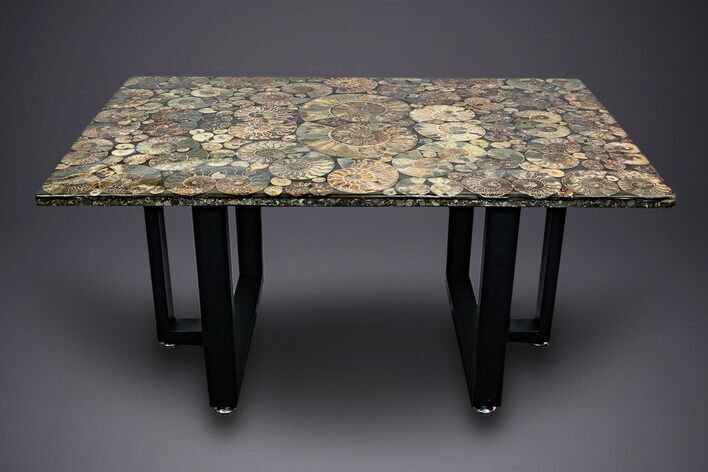 Eye-Catching, Cut and Polished Ammonite Fossil Coffee Table #303664